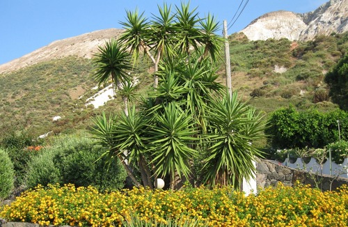Vulcano Porto Villa | Villa Liliana: 2 + 2 sleeps, panoramic view, 200 mt. from the sea.
