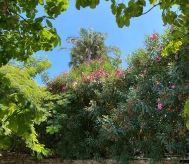 Costa Saracena-Castelluccio Villa | Villa Marisa - unforgettable Etna view