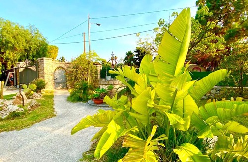 Gallina Villa | Villa Noemi