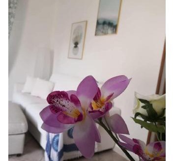 Altavilla Milicia Villa | Villa panoramica con Piscina