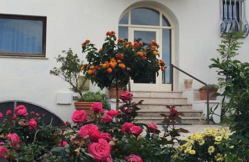 San Felice Circeo Hotel | Villa Penelope