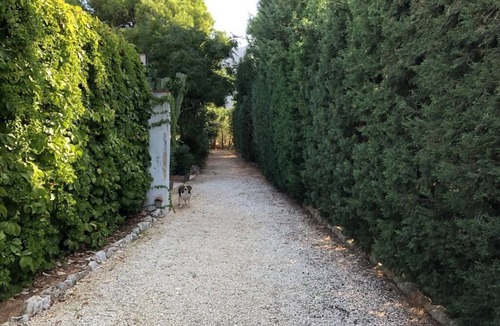 San Vito Lo Capo Villa | Villa Roberta surrounded by greenery a stone's throw from the beach of San Vito Lo Capo