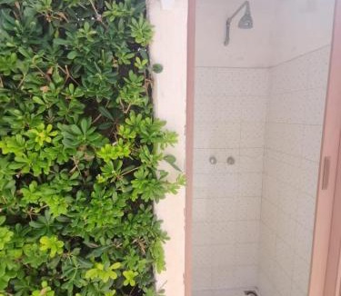 Reitani Villa | Villa Robinia