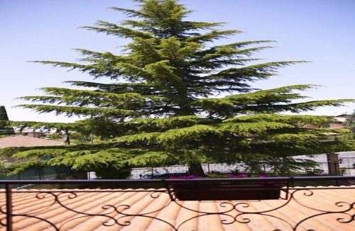 Mascalucia Villa | Villa sole dell'etna