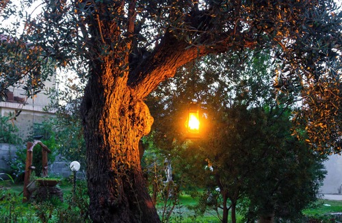 Viagrande Villa | Villa with large garden and views of Mount Etna. Gazebo and barbecue