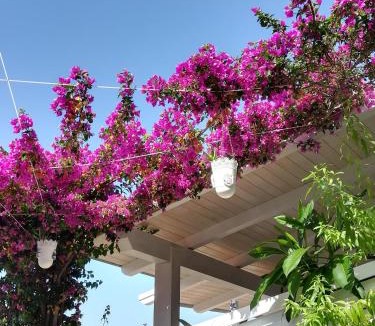 Casuzze House | "Villetta tra Mare e Barocco"