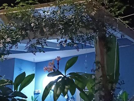 Casuzze House | "Villetta tra Mare e Barocco"