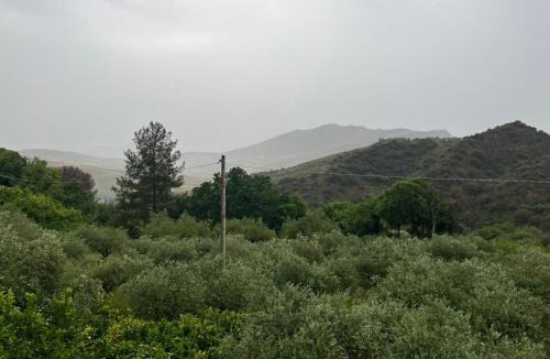 Calatafimi Villa | Villino Anna e Pippino