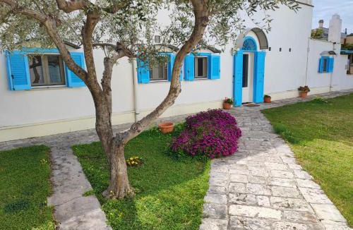 Mola di Bari Bed & Breakfast | Villino Tronchetto Bianco