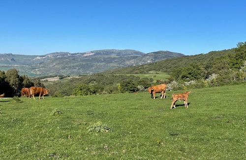 Contessa Entellina House | Vrbo Property