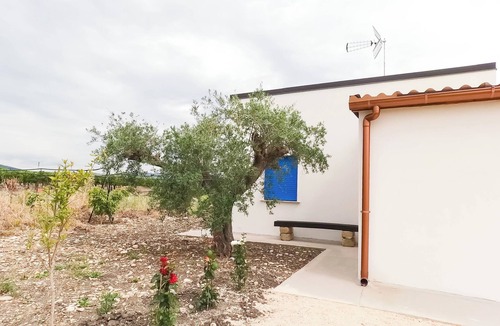 Ribera House | Waning Moon - Among the Citrus Trees in Ribera