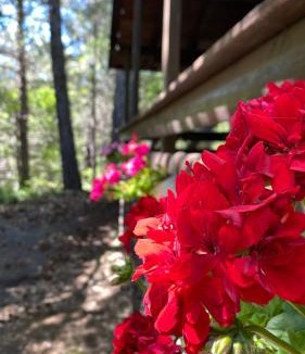 Ragalna Ski Chalet | Woods Etna Chalet