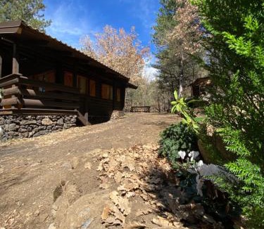 Ragalna Ski Chalet | Woods Etna Chalet