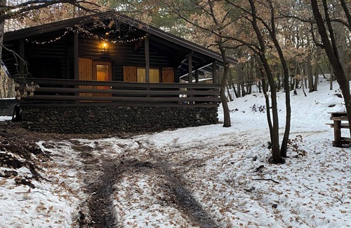 Ragalna Ski Chalet | Woods etna chalet