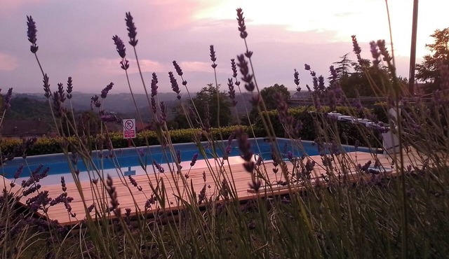 Adults-Only Bed & Breakfast: Experience, Wellness, Relaxation, and Privacy in Murazzano