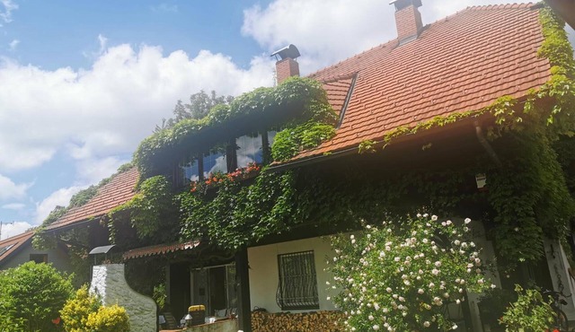 Apartment 'Märchenschloss' with Shared Garden, Balcony and Wi-Fi in Hart bei Graz