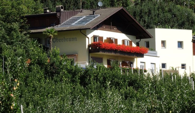 Apartment 'Sonnenblume' with Mountain View, Shared Pool, and Wi-Fi in Naturno