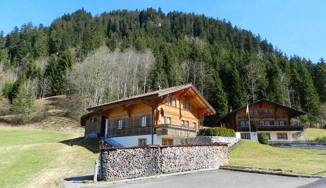 Apartment Studio Rinderbergblick Studio- Dusche- WC 2-Bettwohnung by Interhome in Zweisimmen