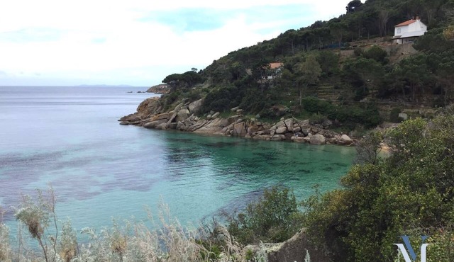 Apt. Le Salinette - Villa Manzoni in Giglio Campese