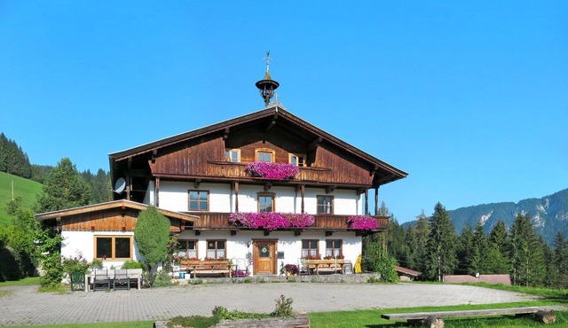Beautiful private villa for 41 people with WIFI, TV and terrace in Wildschönau