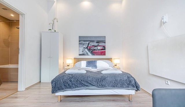 Brilliant Studio Apt. - Ideal for longstays in Wien