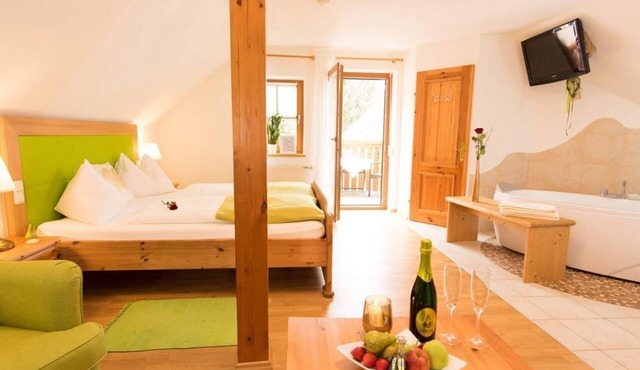 Comfort room with balcony or terrace, shower, WC - Natur Wellness Resort Grüne in Pöllau bei Hartberg