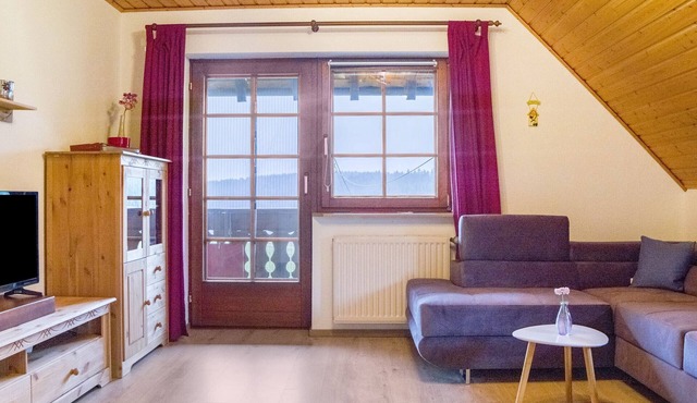 Cosy flat well suitable for hikers and dog owners in Eisenbach