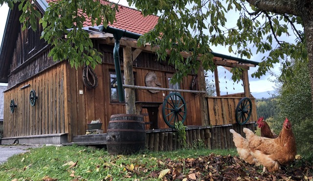 Cozy, rustic vacation home in a fantastic location in Bruderndorferwald