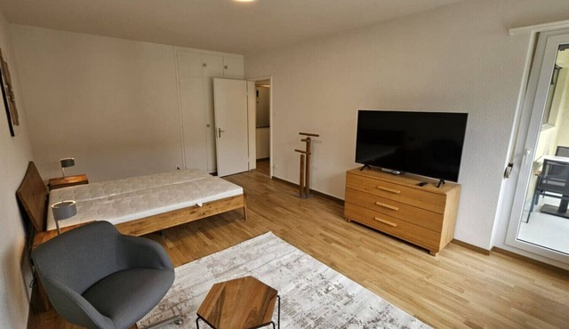 Cozy studio near train station (Wille 7) in Zürich