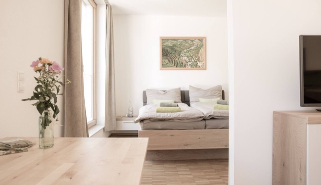 Cozy vacation apartment "Wechselberg" (43 sqm) on the second floor in Straß im Straßertale