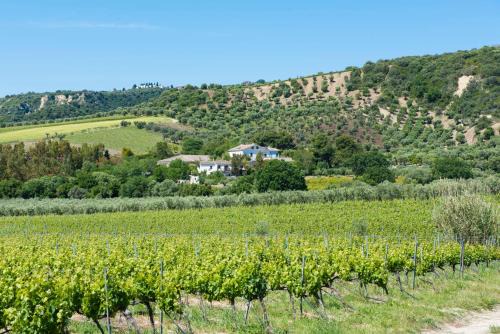 Dattilo Wine Relais
