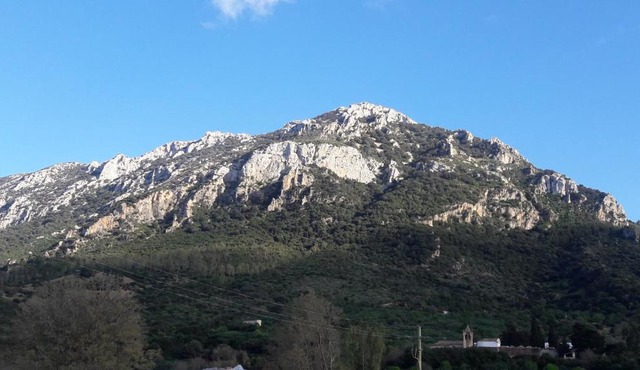 Domus in Galtellì