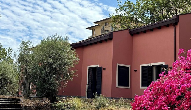 Entire house with a view of the ocean. A peaceful retreat close to populated areas.