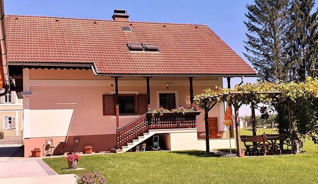 Haus an der Mur, Österreich in Misselsdorf