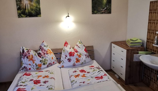 Haus Pyhrgasblick - Doppelzimmer, Toilette und Bad/dusche Getrennt, 1 in Windischgarsten