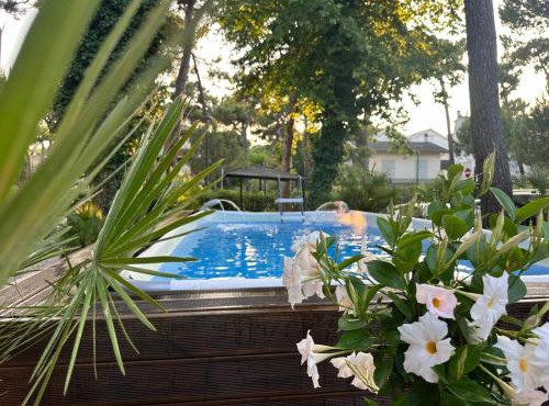 Hotel B&B Des Bains Milano Marittima in Milano Marittima