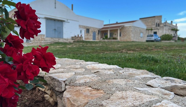 In old farmhouse in Apulia, large room with kitchen, bathroom, garden