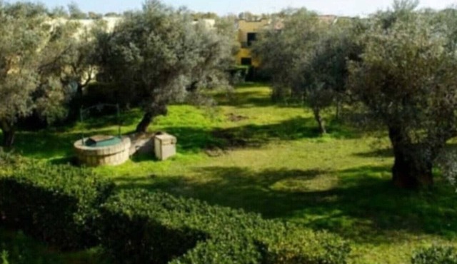 Apartment 'Tra Ulivi e Mare' in Villaggio Sant'Andrea