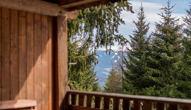 Katschwaldhütte in Sankt Wolfgang