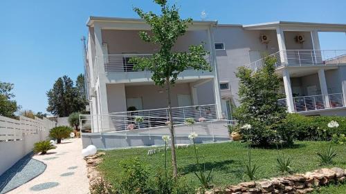 L'ulivo D'oro in Laterza