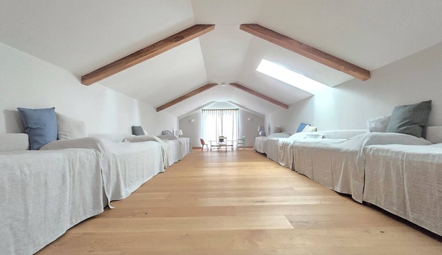 Light-flooded 650 m2 villa in Vulkanland, 20 beds, pool in Erbersdorf