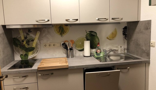 Lovingly furnished vacation apartment (52 m²) for up to 2 people with fully equipped kitchenette in Fladungen