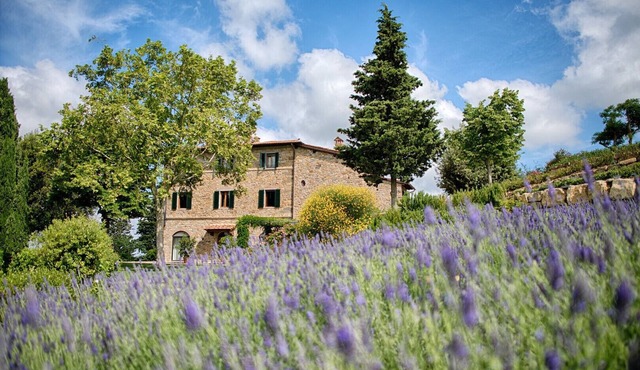 Luxury Chianti with 2 Bedrooms in Panzano Chianti in Panzano