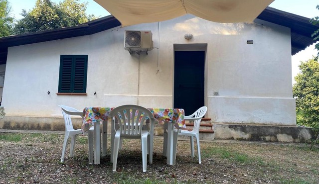 Medlar apartments in Zambrone