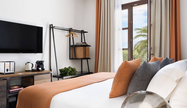 Momentum Resort