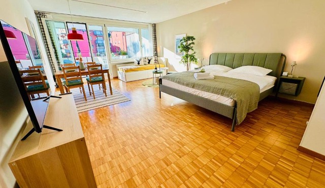 New Studio with Sunny Terrace & Air Condition in Zurich