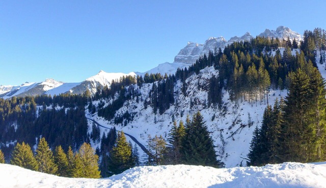 Nice apartment for 4 people with WIFI, balcony and panoramic view in Champoussin