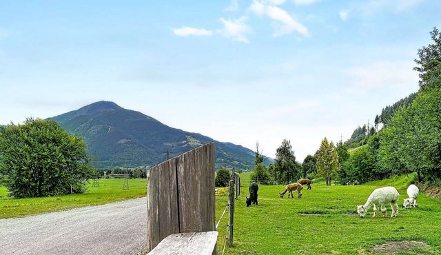 Nice apartment in villa for 4 guests with WIFI, TV and pets allowed in Kaprun