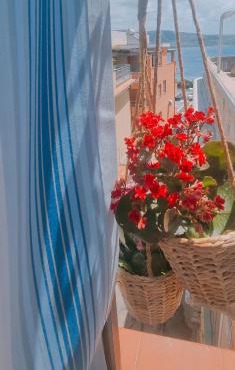 Ninù's Home