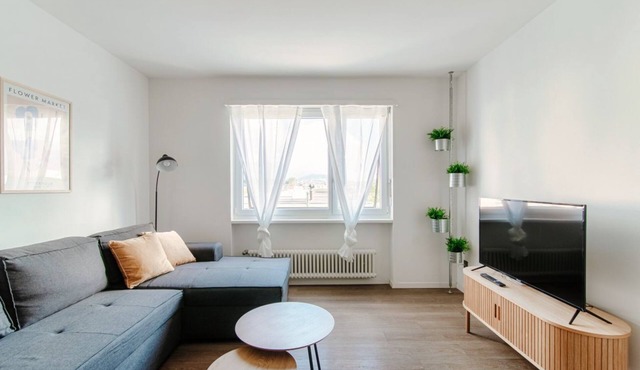 One-bedroom apartment 10 minutes from Mendrisio (Roseto Apartment) in Balerna